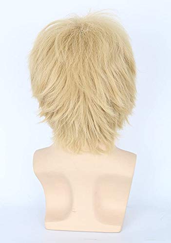 Men or Women Anime Cosplay Costume Wigs Short Layered Fluffy Party Wig