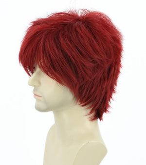Men or Women Anime Cosplay Costume Wigs Short Layered Fluffy Party Wig